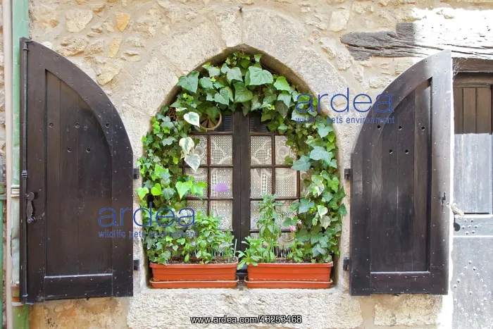 : France, Provence, Vence. Close-up of window : France, Provence, Vence. Close-up of window