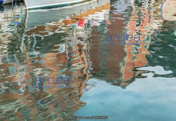 : France, Provence. Villefranche-sur-Mer, harbor reflections : France, Provence. Villefranche-sur-Mer, harbor reflections
