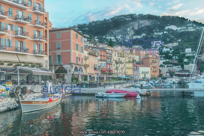 : France, Provence. Villefranche-sur-Mer, harbor : France, Provence. Villefranche-sur-Mer, harbor