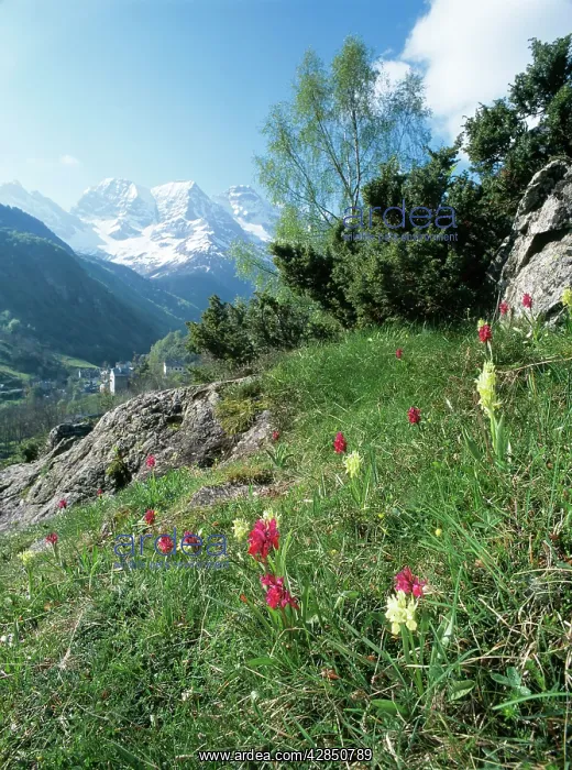 : France - Pyrenees, National Park : France - Pyrenees, National Park