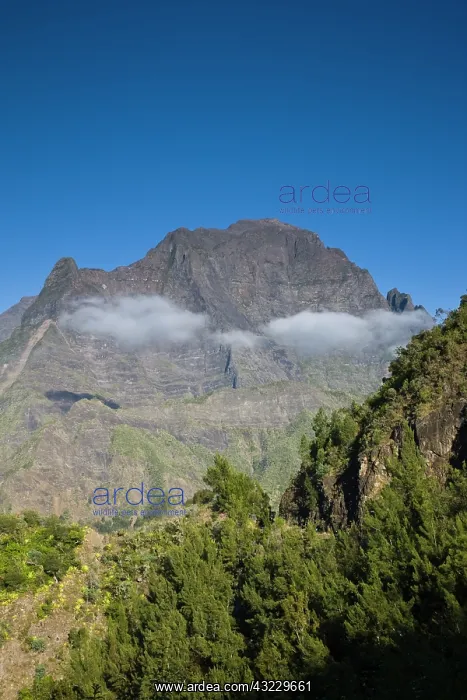  : France, Reunion Island, Cirque de Cilaos