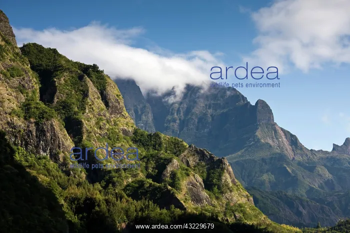 : France, Reunion Island, Cirque de Cilaos, Le : France, Reunion Island, Cirque de Cilaos, Le