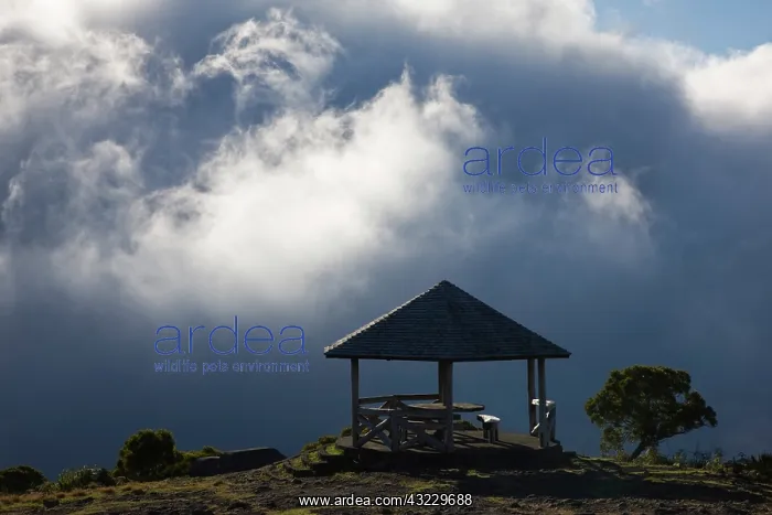 : France, Reunion Island, Cirque de Mafate : France, Reunion Island, Cirque de Mafate