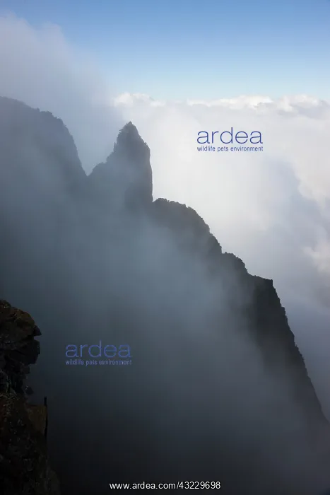 : France, Reunion Island, Cirque de Mafate : France, Reunion Island, Cirque de Mafate