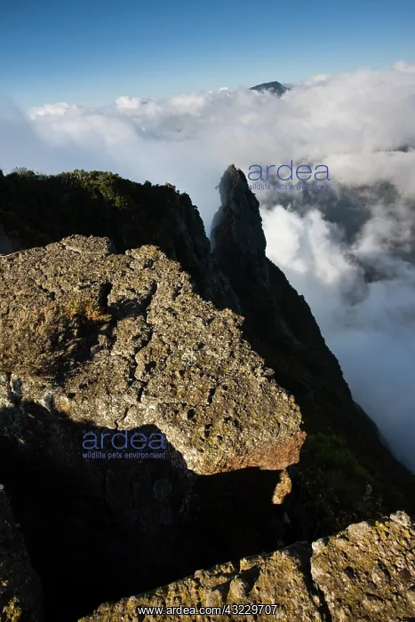 : France, Reunion Island, Cirque de Mafate : France, Reunion Island, Cirque de Mafate