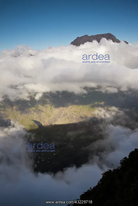 : France, Reunion Island, Cirque de Mafate : France, Reunion Island, Cirque de Mafate