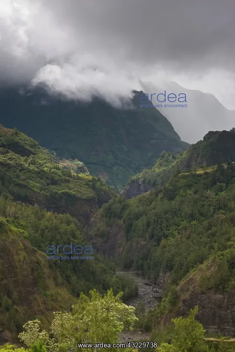 : France, Reunion Island, Cirque de Salazie : France, Reunion Island, Cirque de Salazie