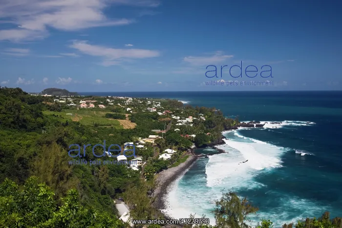 : France, Reunion Island, South Reunion, Manapany-les-Bains : France, Reunion Island, South Reunion, Manapany-les-Bains