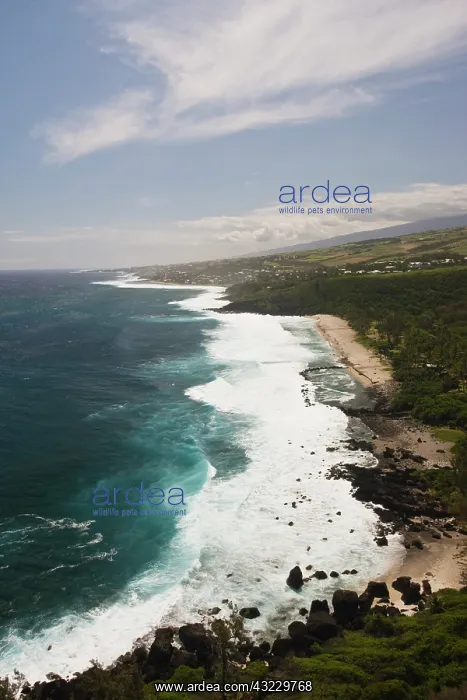 : France, Reunion Island, South Reunion, Grande : France, Reunion Island, South Reunion, Grande