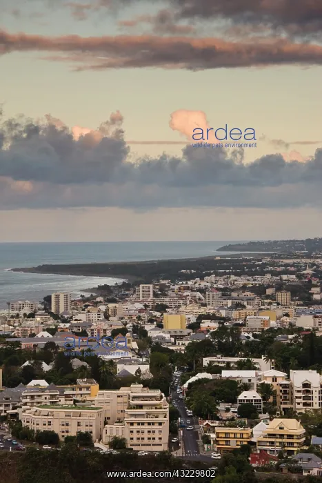 : France, Reunion Island, St-Denis, dusk view : France, Reunion Island, St-Denis, dusk view