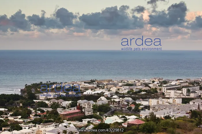 : France, Reunion Island, St-Denis, dusk view : France, Reunion Island, St-Denis, dusk view