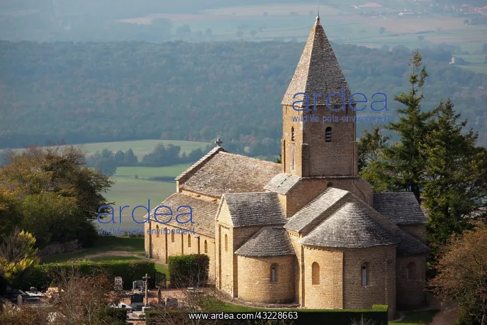 : France, Saone-et-Loire Department, Burgundy : France, Saone-et-Loire Department, Burgundy