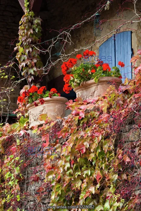 : France, Saone-et-Loire Department, Burgundy : France, Saone-et-Loire Department, Burgundy