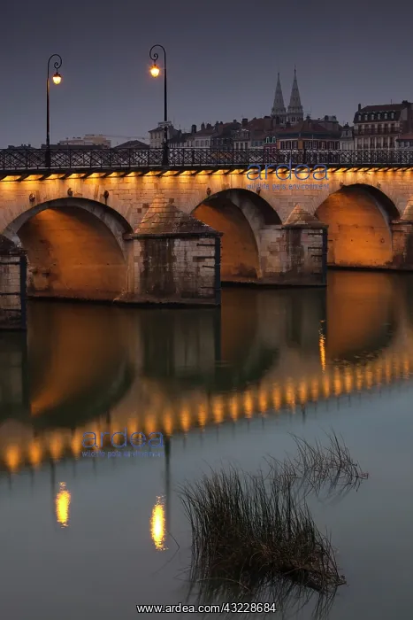 : France, Saone-et-Loire Department, Burgundy : France, Saone-et-Loire Department, Burgundy