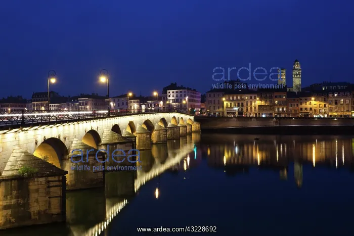 : France, Saone-et-Loire Department, Burgundy : France, Saone-et-Loire Department, Burgundy