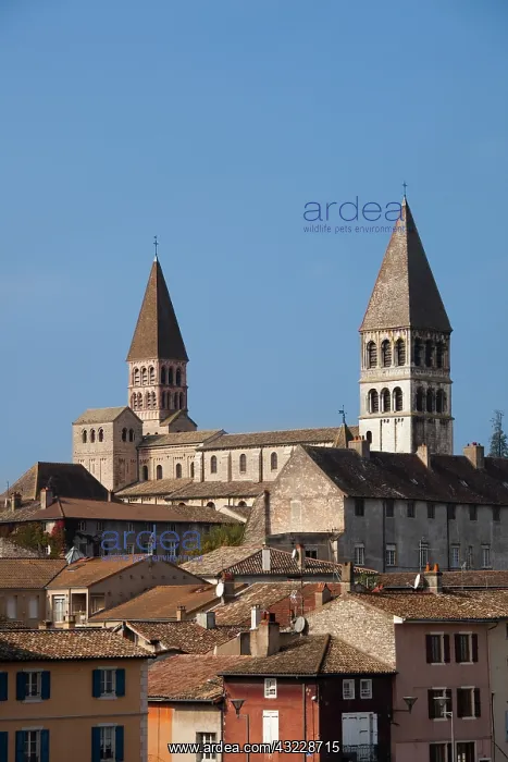 : France, Saone-et-Loire Department, Burgundy : France, Saone-et-Loire Department, Burgundy