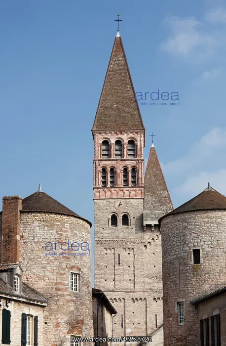 : France, Saone-et-Loire Department, Burgundy : France, Saone-et-Loire Department, Burgundy
