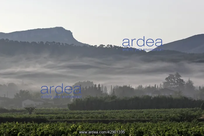 : France - Serguret Village & countryside : France - Serguret Village & countryside