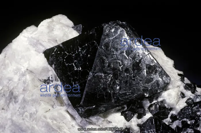 : Franklinite from Franklin, New Jersey : Franklinite from Franklin, New Jersey