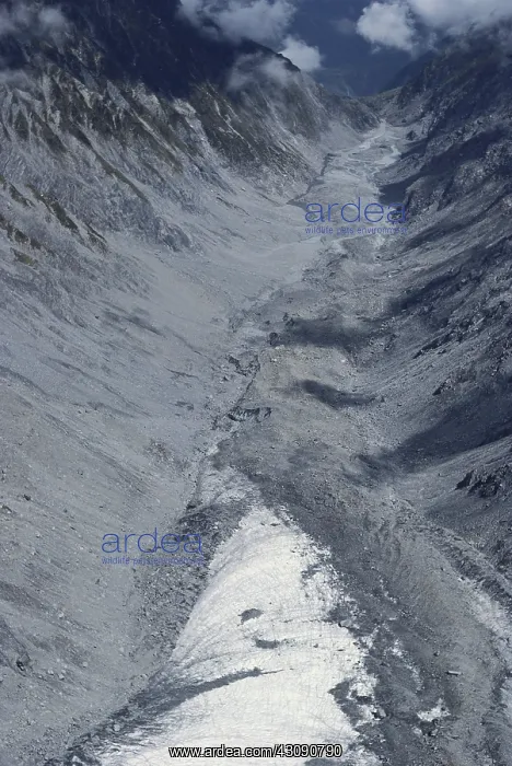: Franz Josef Glacier, New Zealand : Franz Josef Glacier, New Zealand