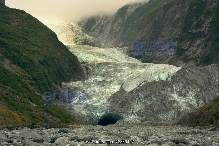 : Franz Josef Glacier - river of ice cutting through : Franz Josef Glacier - river of ice cutting through
