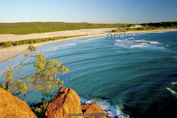  : Fraser Island, Australia. Fraser Island