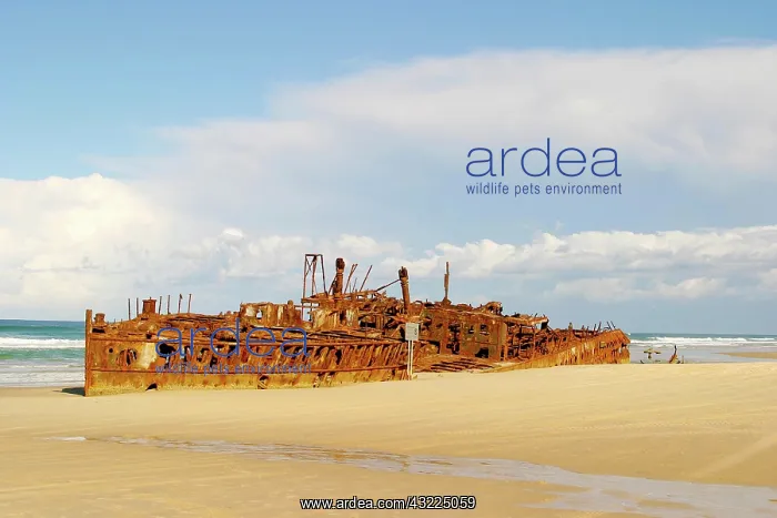 : Fraser Island, Australia. Fraser's most : Fraser Island, Australia. Fraser's most