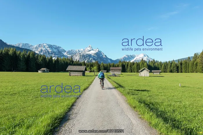 : Frau radelt, hay barns in a meadow, Ehrwalder Sonnenspitz : Frau radelt, hay barns in a meadow, Ehrwalder Sonnenspitz