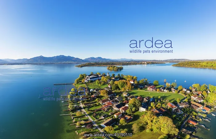: Fraueninsel, Frauenchiemsee, behind Krautinsel and : Fraueninsel, Frauenchiemsee, behind Krautinsel and