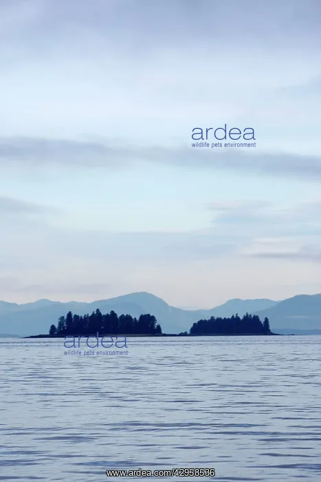 : Frederick Sound : Frederick Sound
