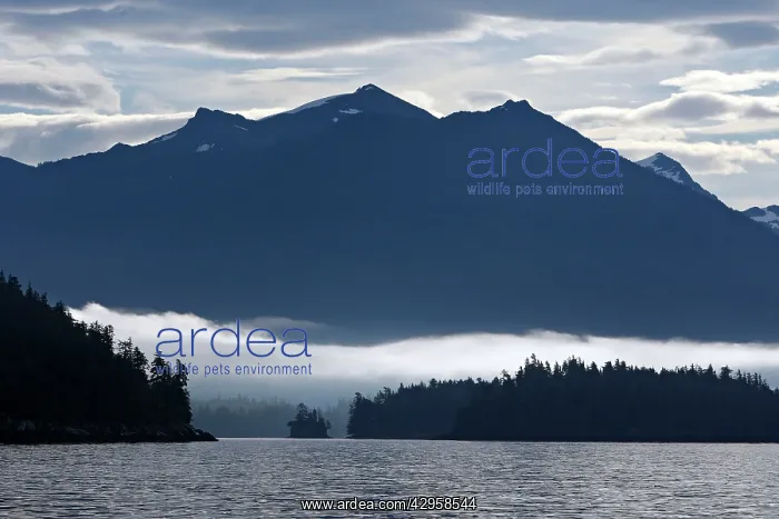 : Frederick Sound : Frederick Sound