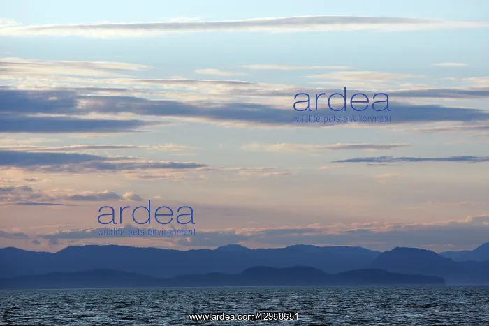 : Frederick Sound : Frederick Sound