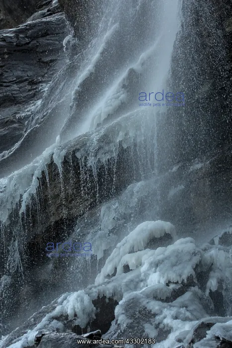 : Freezing waterfall at about 3000m on the italian : Freezing waterfall at about 3000m on the italian