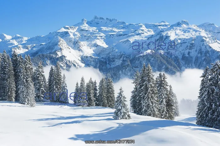 : Freiberge Kcrpf, Glarus Alps, Switzerland, Europe : Freiberge Kcrpf, Glarus Alps, Switzerland, Europe