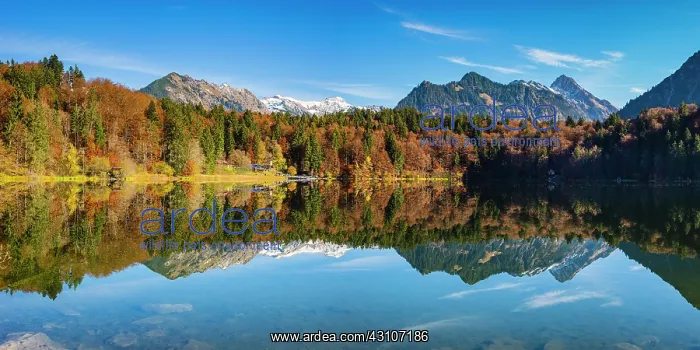 : Freibergsee, behind it the Allgcu Alps, Allgcu : Freibergsee, behind it the Allgcu Alps, Allgcu