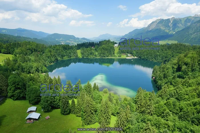 : Freibergsee, Oberstdorf, Allgcu Alps, Allgcu, Bavaria : Freibergsee, Oberstdorf, Allgcu Alps, Allgcu, Bavaria