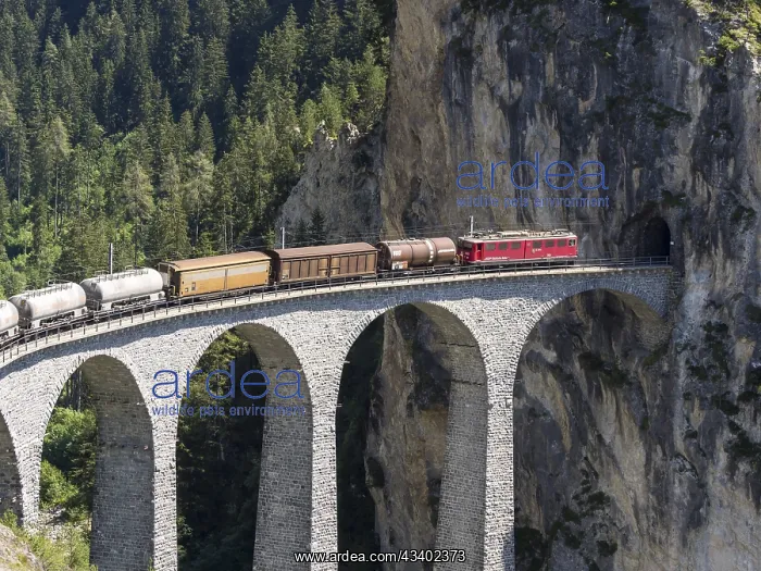 : Freigth train passing the Landwasserviadukt near : Freigth train passing the Landwasserviadukt near