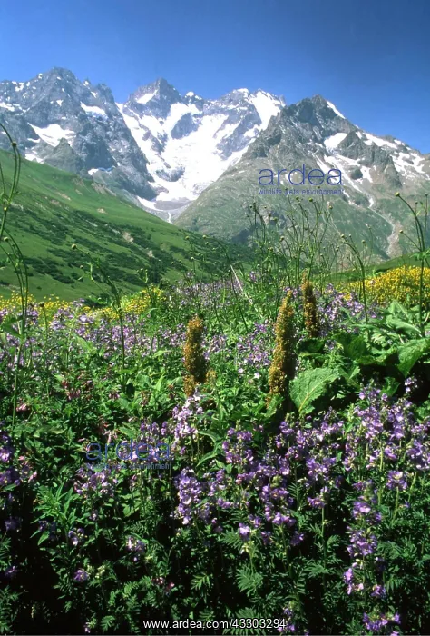 : French Alps - Jacob's Ladder and La Meije Glacier beyond : French Alps - Jacob's Ladder and La Meije Glacier beyond