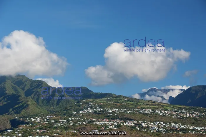  : French Overseas territory (aka Francais