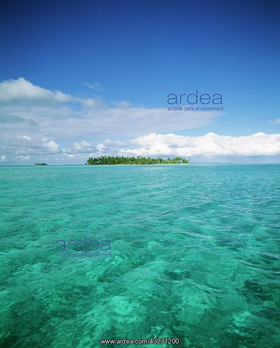 : FRENCH POLYNESIA, Bora Bora : FRENCH POLYNESIA, Bora Bora