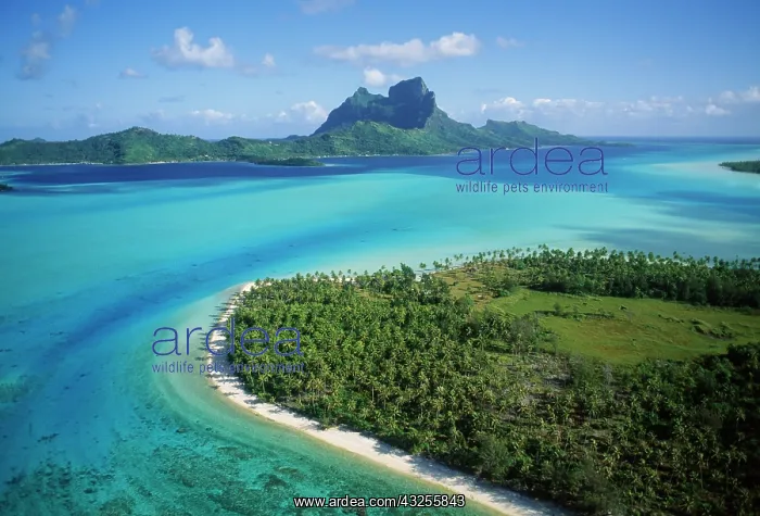 : FRENCH POLYNESIA, Bora Bora : FRENCH POLYNESIA, Bora Bora