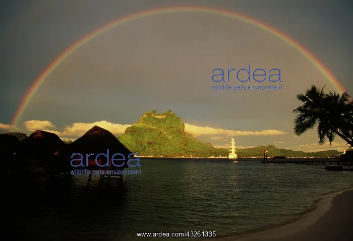 : FRENCH POLYNESIA, Bora Bora : FRENCH POLYNESIA, Bora Bora