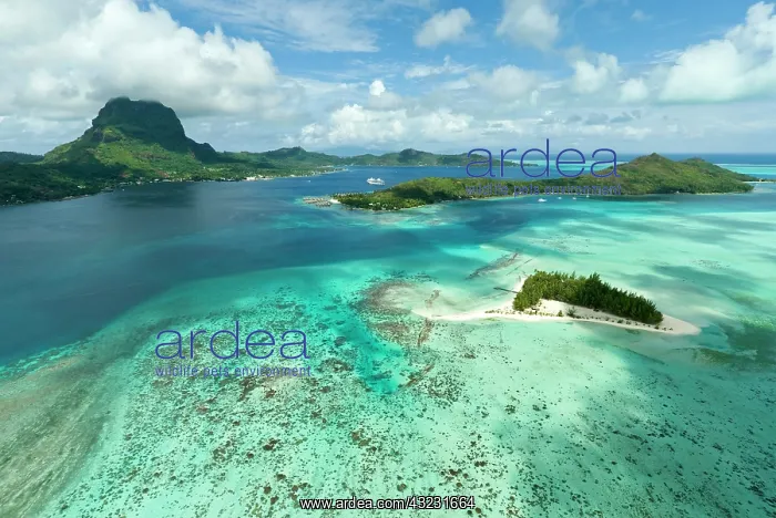 : French Polynesia, Bora Bora aerial. From : French Polynesia, Bora Bora aerial. From