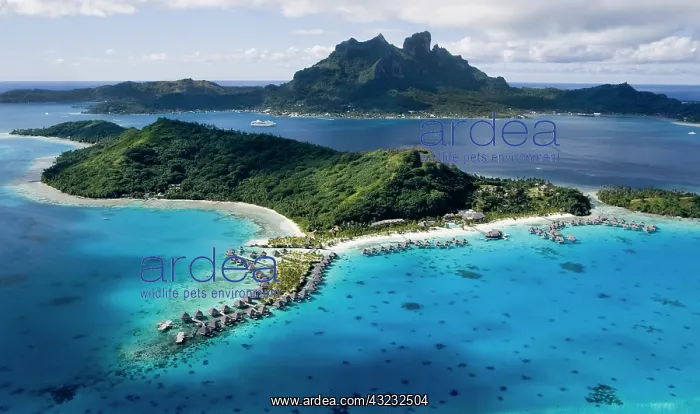 : French Polynesia, Bora Bora. Aerial view : French Polynesia, Bora Bora. Aerial view