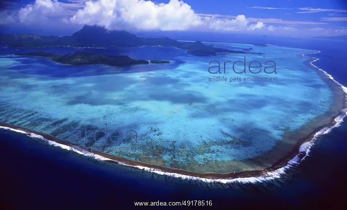 : French Polynesia: Helicopter flight and aerial view of the island of Bora Bora : French Polynesia: Helicopter flight and aerial view of the island of Bora Bora