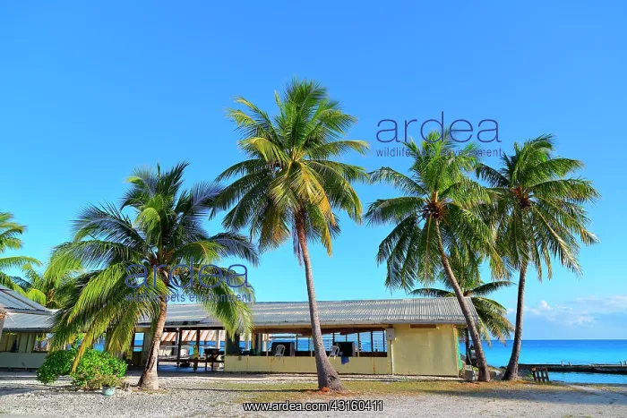 : The French Polynesia in pearl farms are organized : The French Polynesia in pearl farms are organized