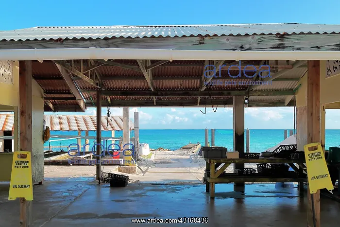  : The French Polynesia in pearl farms are organized