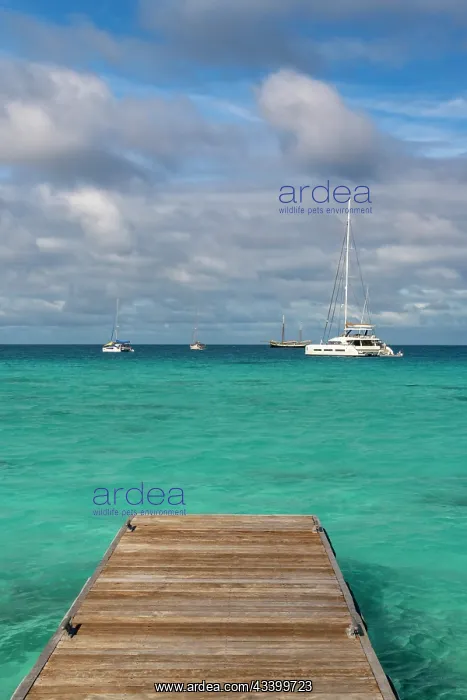 : French Polynesia, Rangiroa Atoll. Pier walkway and : French Polynesia, Rangiroa Atoll. Pier walkway and