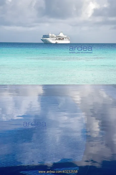 : French Polynesia, Society Islands, Rangiroa : French Polynesia, Society Islands, Rangiroa