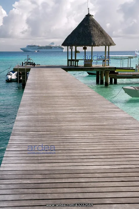 : French Polynesia, Society Islands, Rangiroa : French Polynesia, Society Islands, Rangiroa